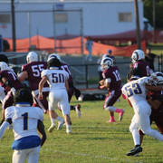 IMG-5292