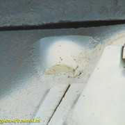 IMG-3480