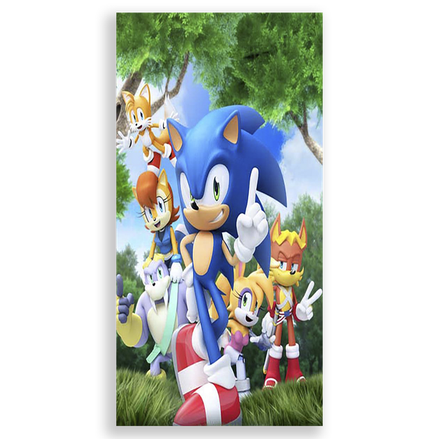 31001587-Sonic