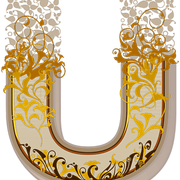 u 740483