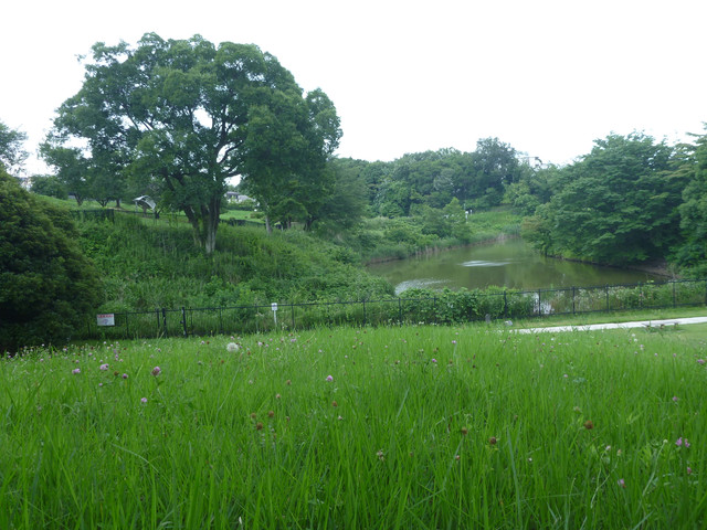 P1320245.jpg
