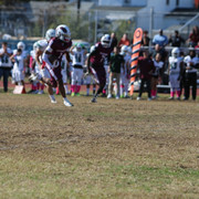 IMG-8447