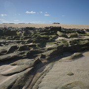 DSC01286