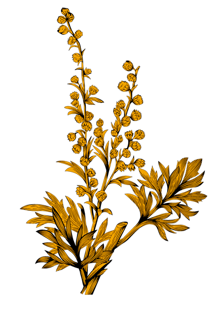 f2d247b88c3628e1ceca19879a7ae226.png