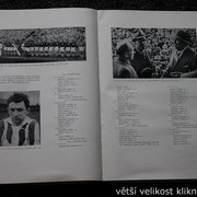 IMG-5529