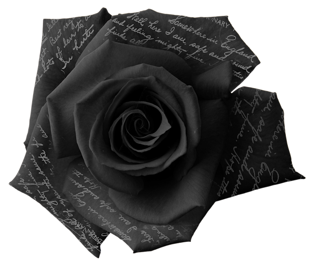 Valkyrie Designs Be My Love In Paris (28).png