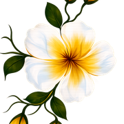 a50cd28f3563e8c7a1c673b70e844a8f