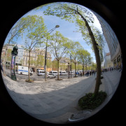 DSCF9096