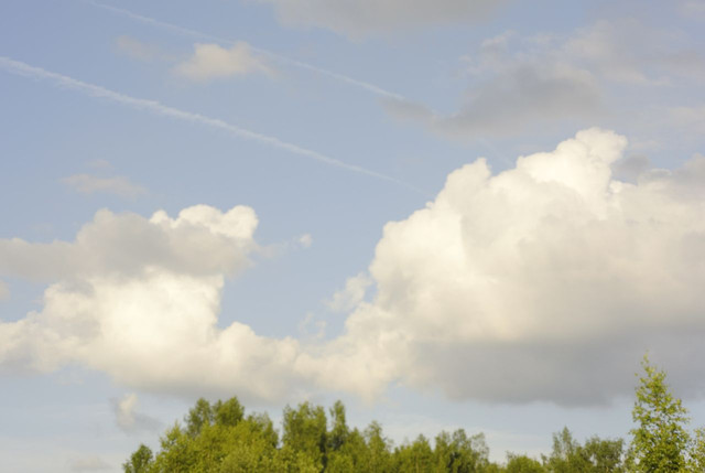 DSC5365-result.jpg