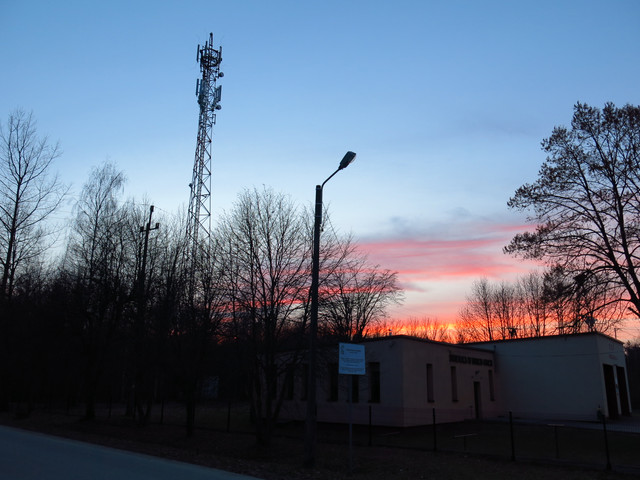 IMG-4471