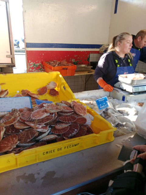 IMG-20241003-103003