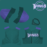 jerseys-Gunsan-Wings-away