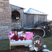 IMG-4446