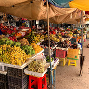 IMG-1911