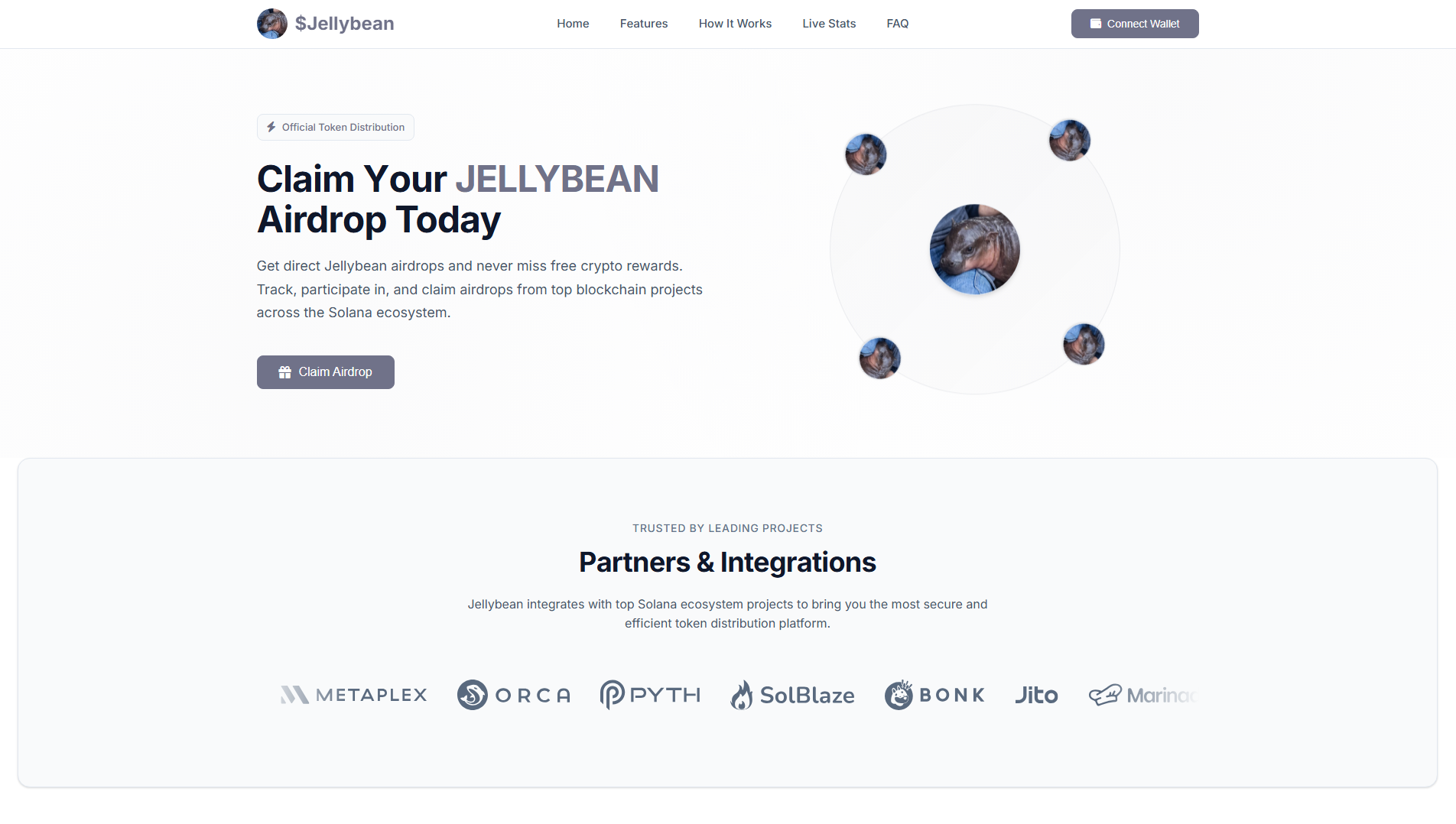 Stored capture of thejellybeans.fun