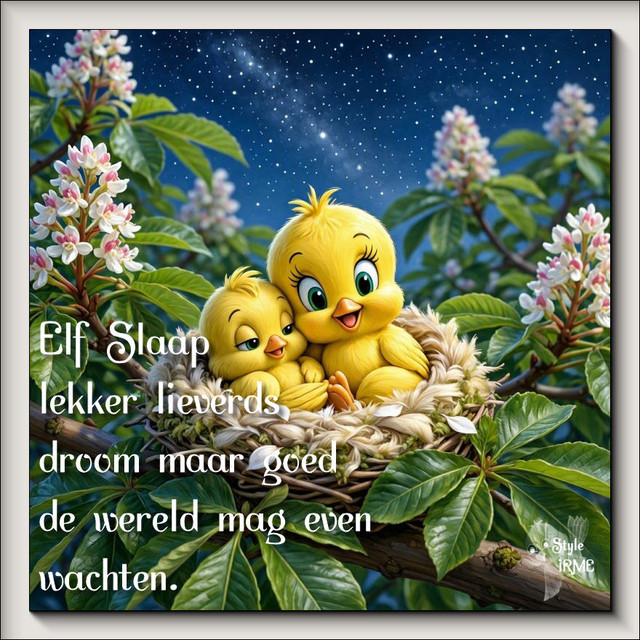 tweety (3)