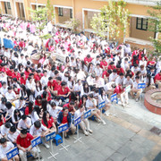IMG 3091