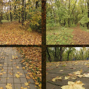 Коллаж3Есс