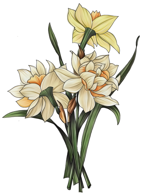 b3bc49a529cd9da4eeb3c6cca21116ba.png