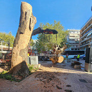 Δεντρο πλατεια Λαου031
