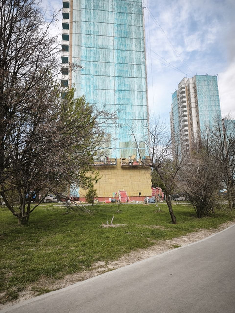 202.jpg