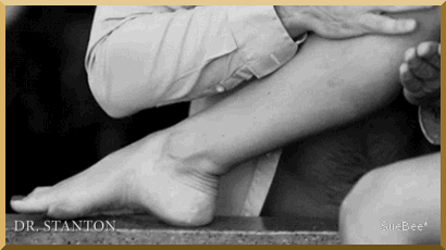 [Image: 23878580.gif]