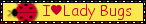 IMG 2573.gif