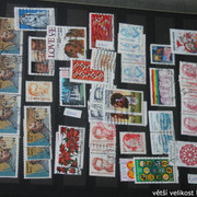 IMG-3089
