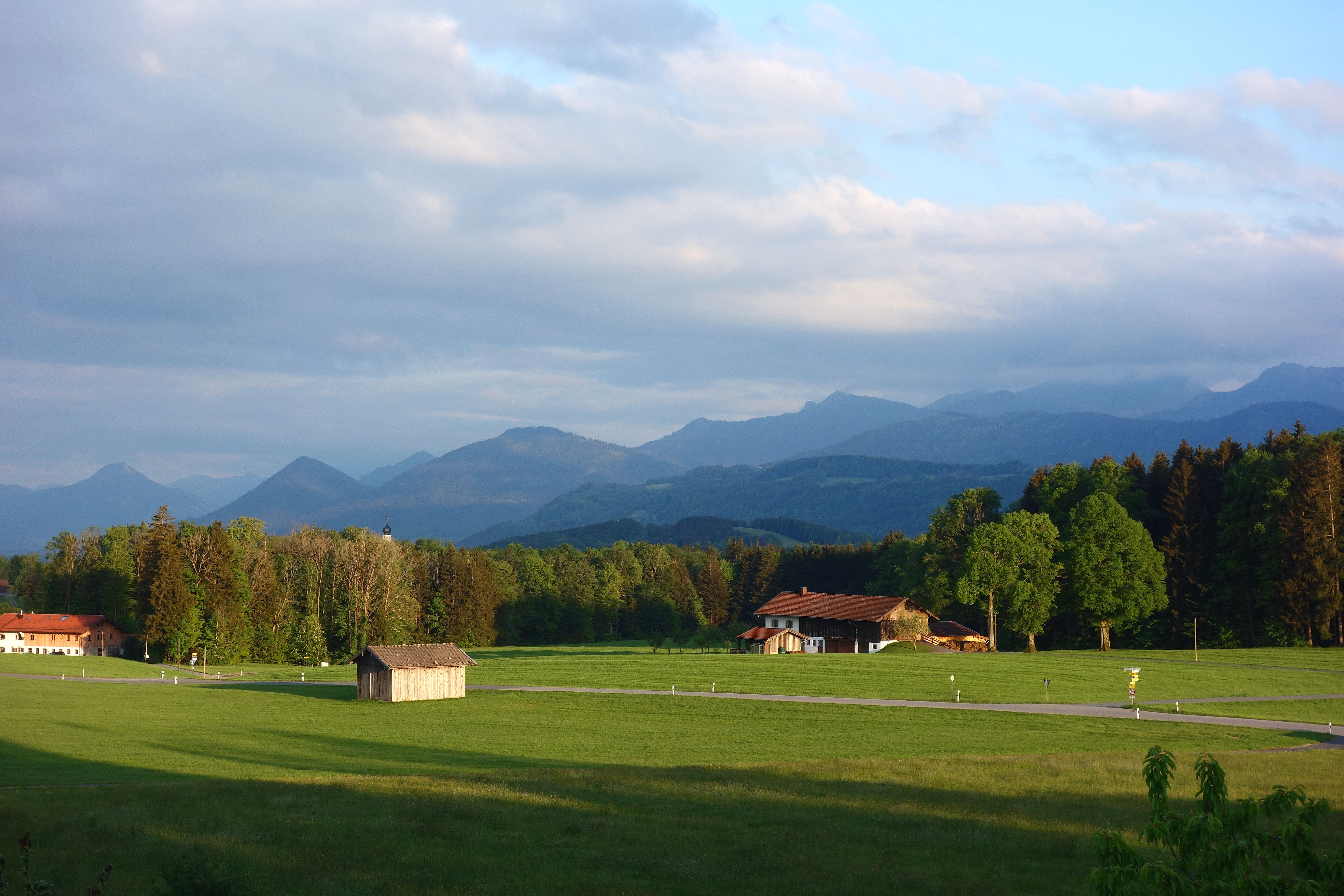 DSC08007