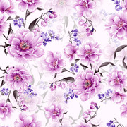 shutterstock 2664821147
