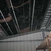 IMG-2245