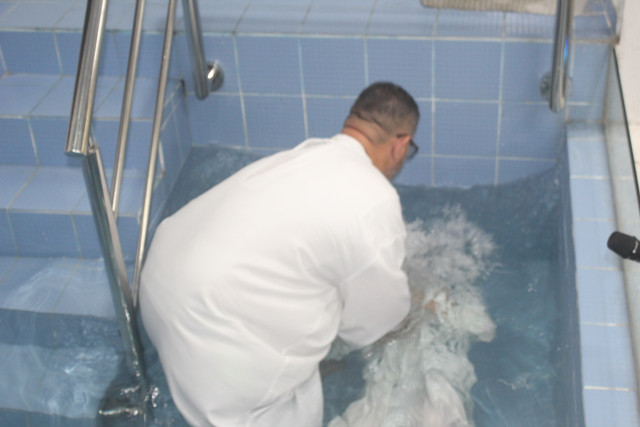 IMG-0452.jpg