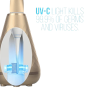 Electric-Toothbrush-1