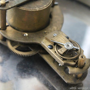 IMG-8474