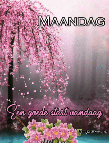 7.gif