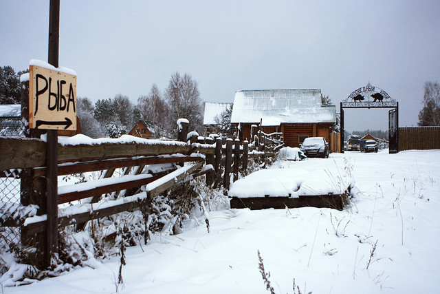 IMG-3908