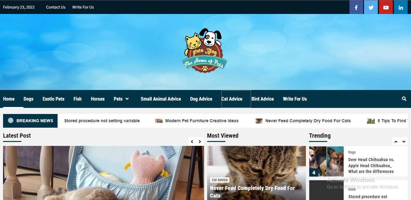 petsblog