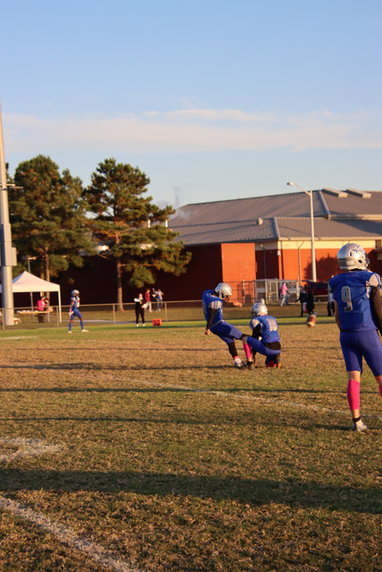 IMG-0029