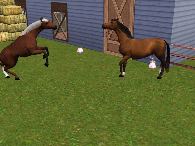 Screenshot-225