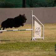 astra-jump-agility