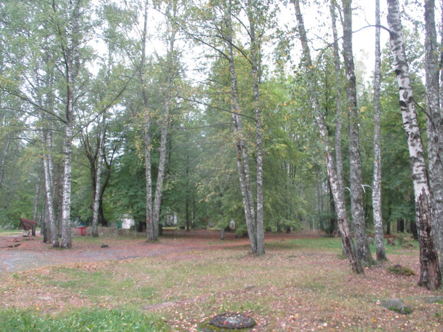 IMG-9628