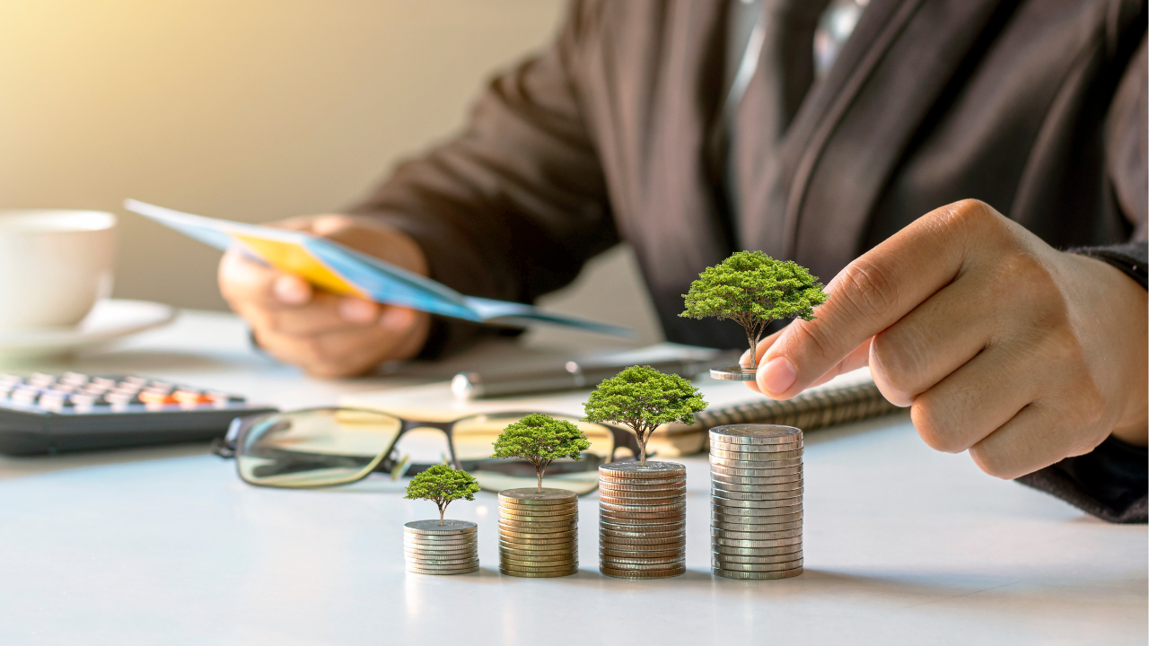 Investment Return Growth
