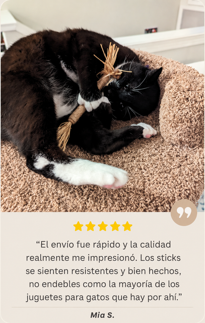 Gato usando stick de Silvervine - Mia S.