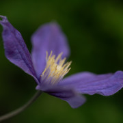 DSC03928 копия
