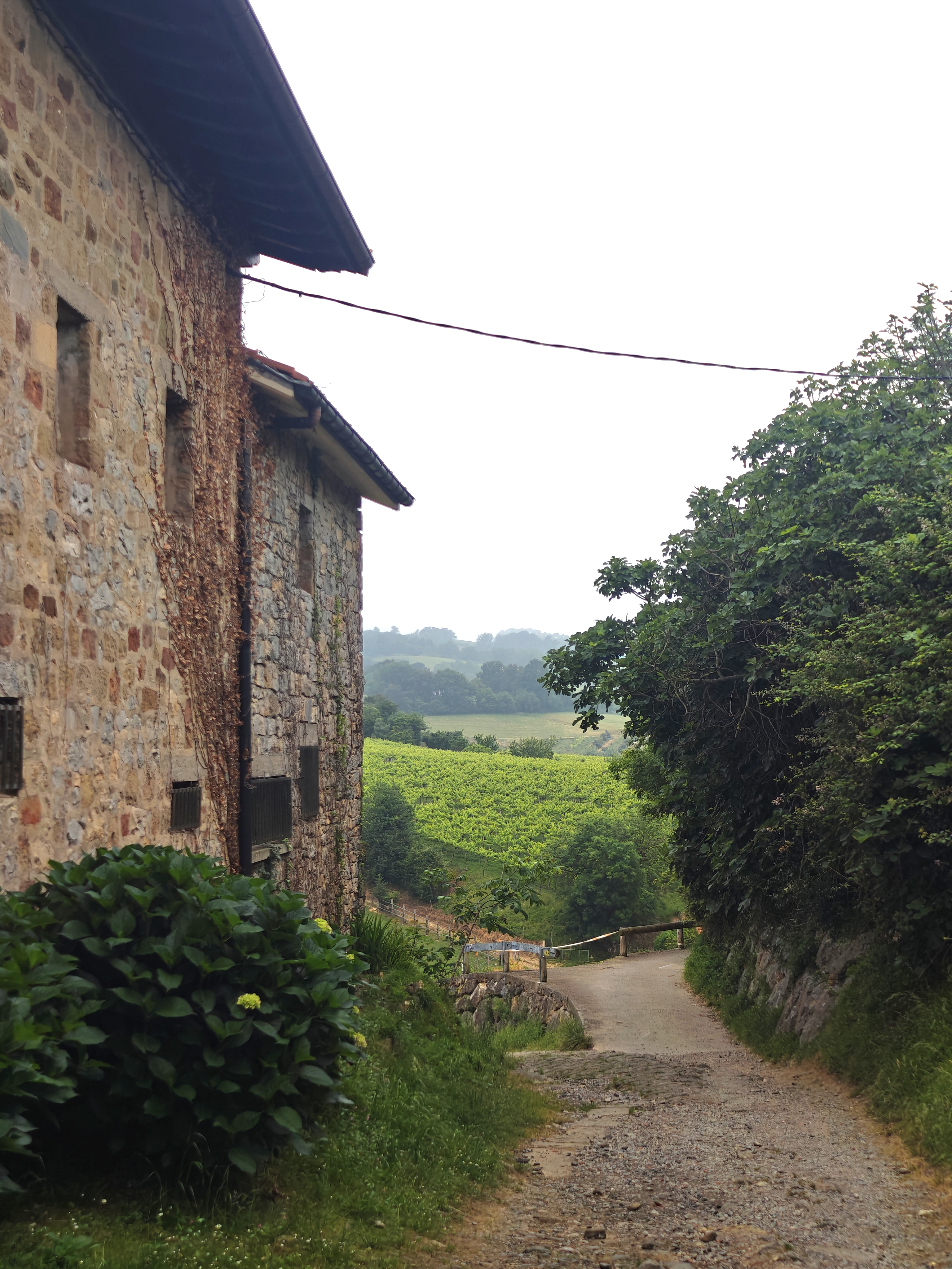 Dag 3 - Zarautz π₯ Mutriku 2