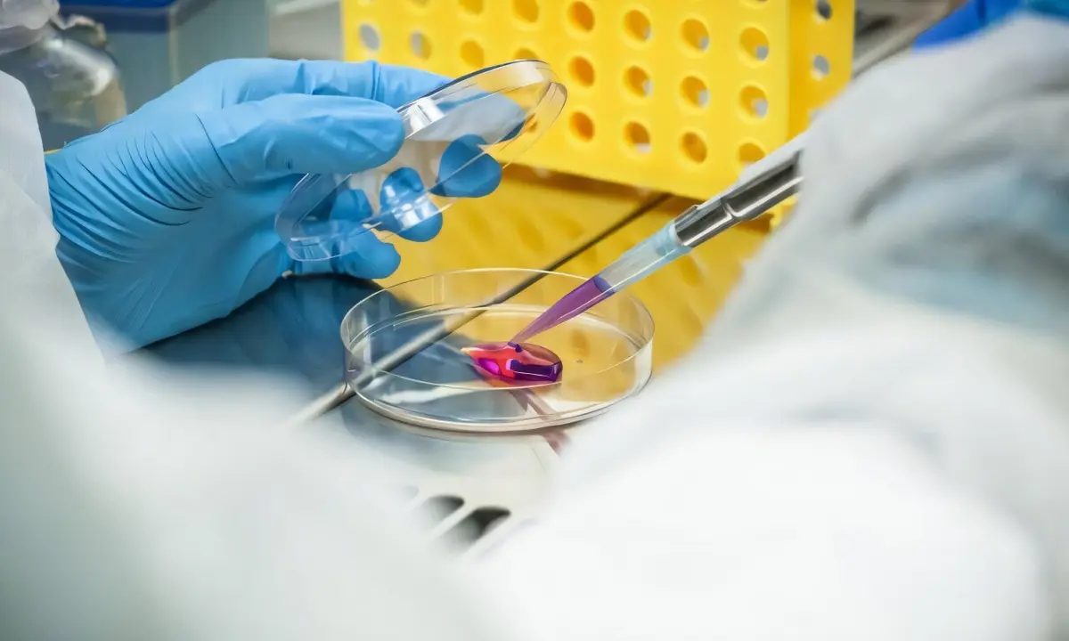 Stem Cell Therapy Brings Relief to 'Butterfly Skin' Sufferers