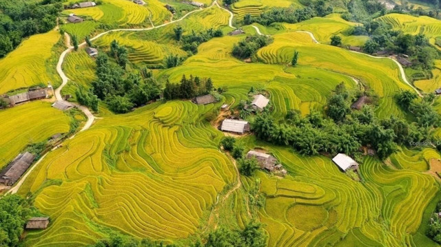 Đừng bỏ lỡ Tả Van khi du lịch Sa Pa mùa lúa chín