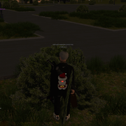 44