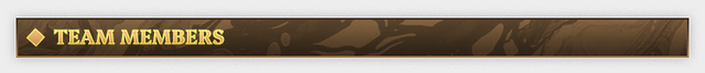 029 team.png