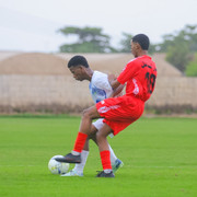 IMG 7020